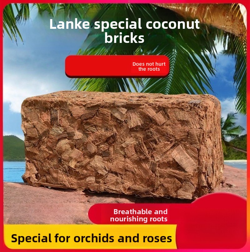 Substrate Coconut Fiber - 有機肥料入りココナッツ繊維ブロック 500g。天然ココピート繊維培地。蘭、バラ、多肉植物の植え替えや爬虫類用キットに最適。