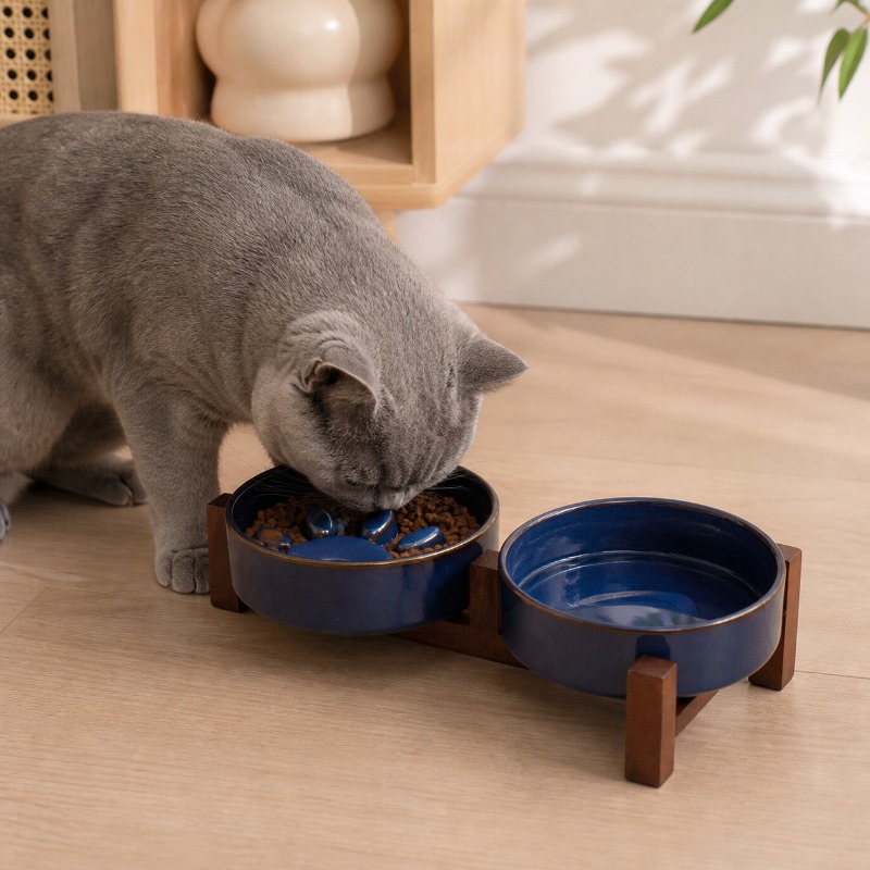 2027年製、和風の窯焼きセラミック製ペット用食器。中型犬・ - Royal Canin Food Medium のレビューと価格