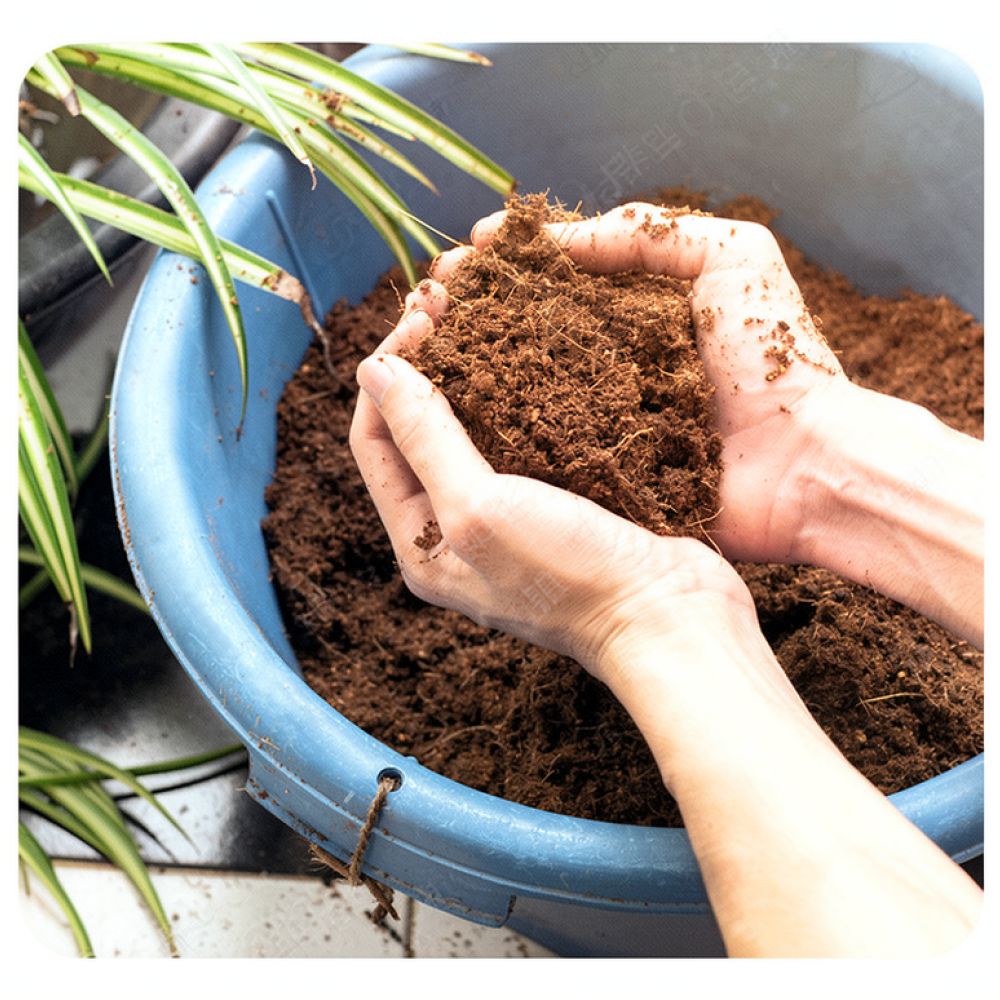 吸水性の高いココヤシ繊維ブロック。有機土壌改良材として、ガー - Substrate Coconut Fiber のレビューと価格